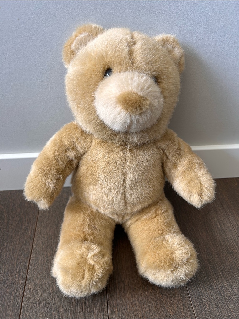 Vintage build a bear with 'Princess University' Outfit - Picture 6 of 6